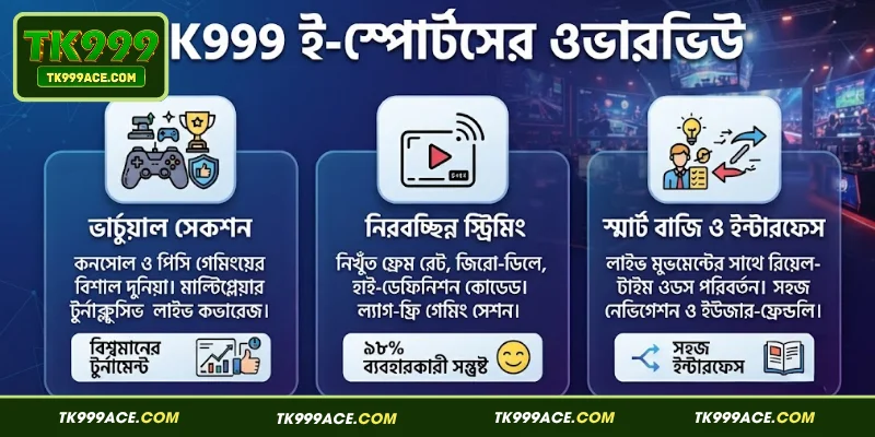 TK999 ই-স্পোর্টস এর একটি ওভারভিউ