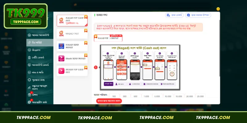 TK999 Deposit 2 TK999 ডিপোজিটের সীমা ও গুরুত্বপূর্ণ শর্ত